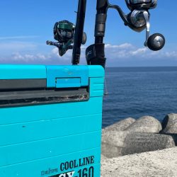 3連休　釣り三昧‼️