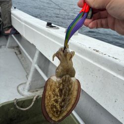 3度目のティップランエギング