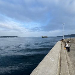 ロックフィッシュ