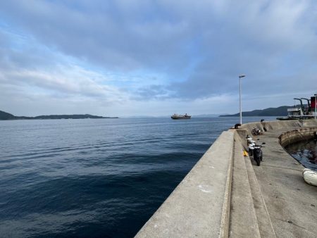 ロックフィッシュ