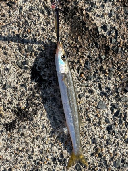 ペットボトルが……