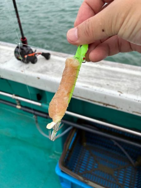 イカメタル7回目今期ラスト釣行