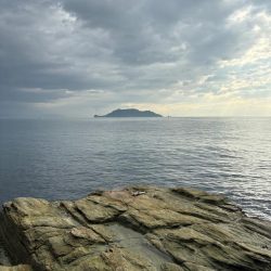 久しぶりのショア青物