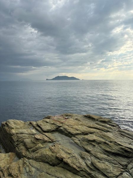 久しぶりのショア青物