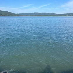 イカポイント探し！