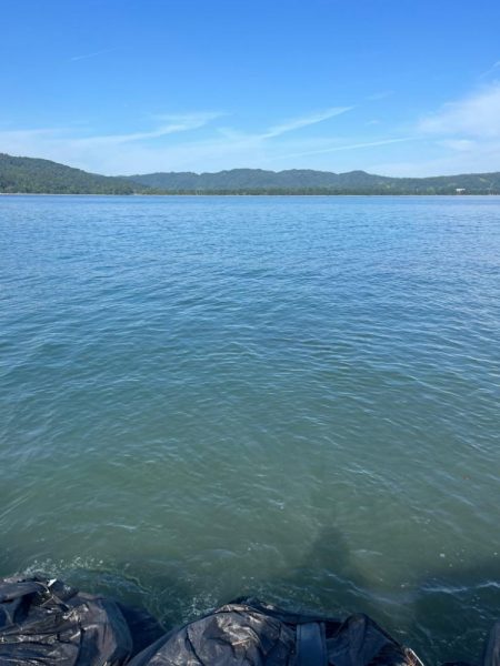 イカポイント探し！