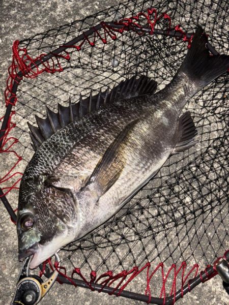 ヘチってきました