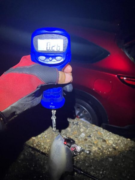 飽きずに秋🦑釣り😊