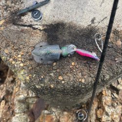 今日も隙間時間に!