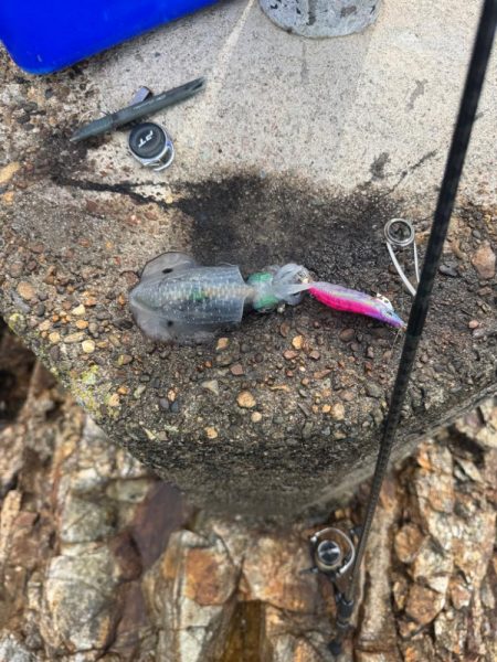 今日も隙間時間に!