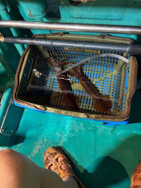 6回目イカメタル