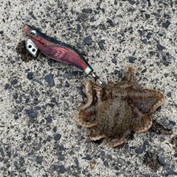 荒波と激渋で厳しかった!