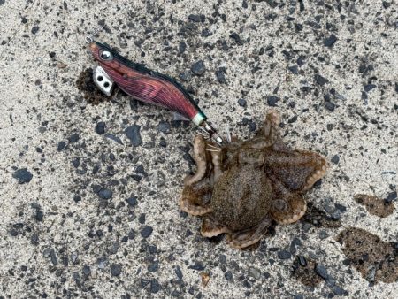 荒波と激渋で厳しかった!