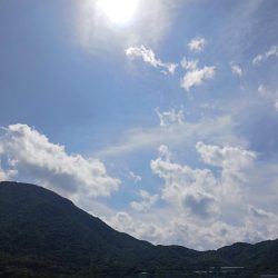 とりあえずアオリ5回目