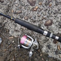 Teamゲッソー調査隊