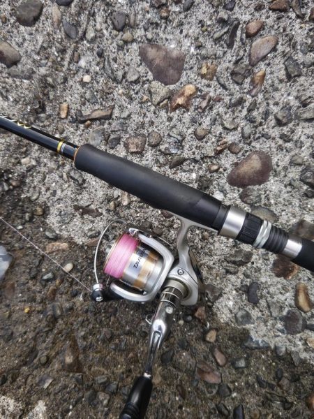 Teamゲッソー調査隊