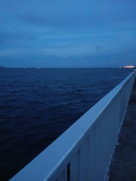 久しぶりのタチウオ