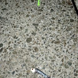 初めての釣り場で