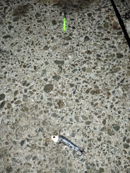 初めての釣り場で