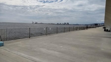 初めてのサヨリ釣り