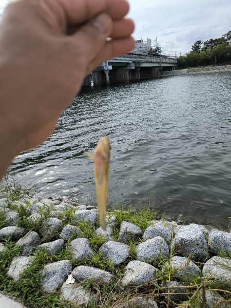 みんなでハゼ釣り