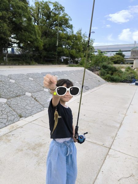 懲りずにハゼ釣り