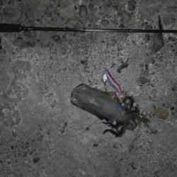 集中して下さい！