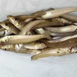 数だけはのびました。