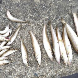 ちょい投げ・・・ではない