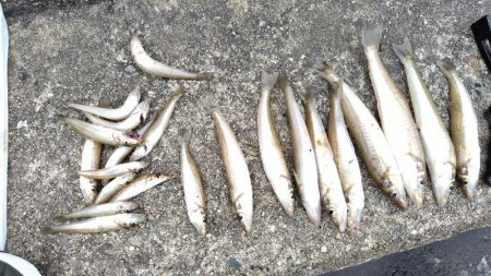 ちょい投げ・・・ではない