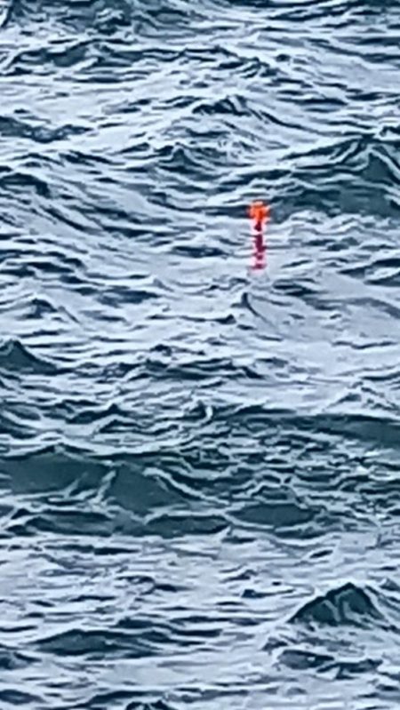 2025秋の青物シーズン開幕