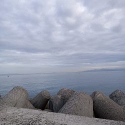 暮れる前にひと投げ