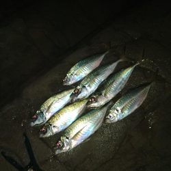 フロートゲーム～