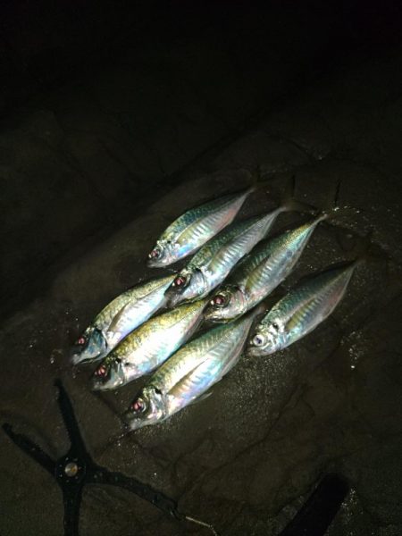 フロートゲーム～