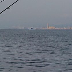 久しぶりの手応え