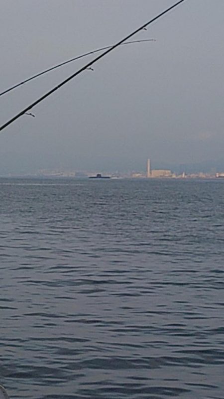 久しぶりの手応え