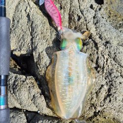 食べるだけは確保