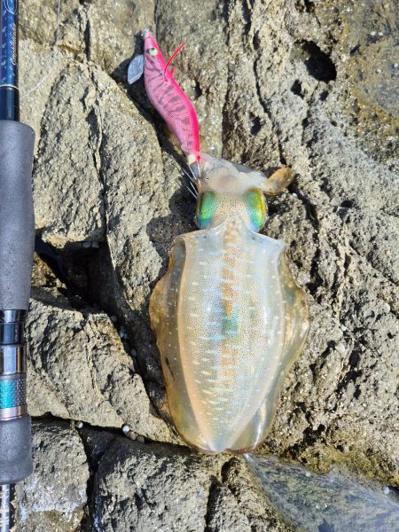 食べるだけは確保
