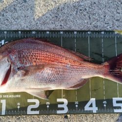 久しぶりの大阪湾