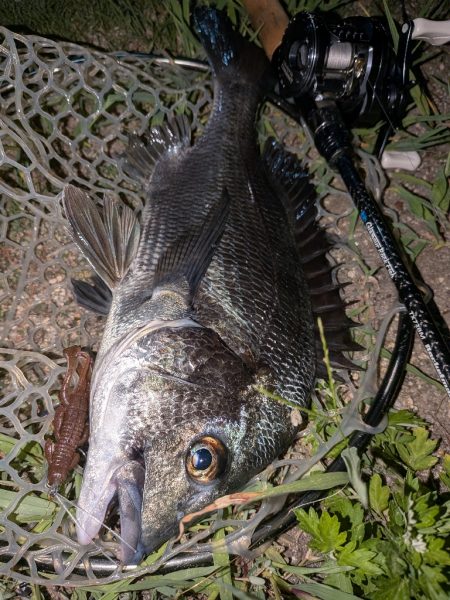 8月ラストチニングは敷石ナイトゲーム