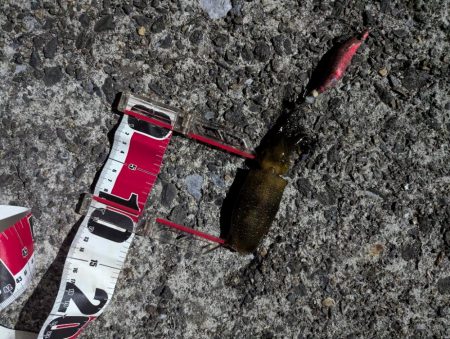 台風後でも濃いのは濁りだけ