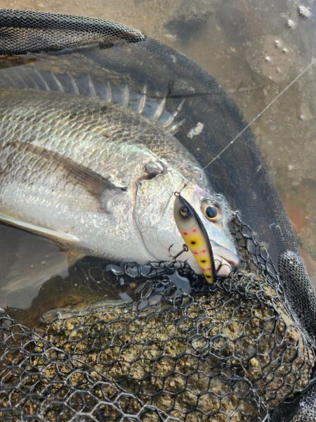 トップチニング