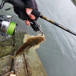 チニングのはずが…