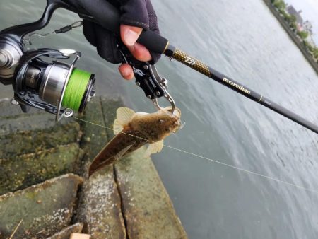 チニングのはずが…