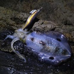 土砂降りを回避