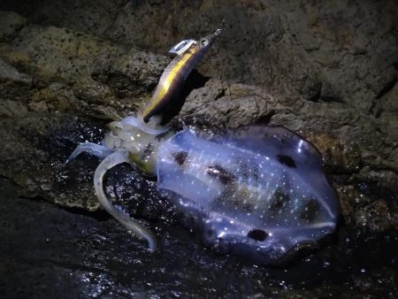 土砂降りを回避