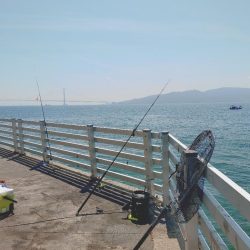 今年初ノマセ釣り🎣