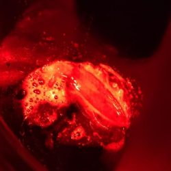 リベンジティップラン！