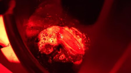 リベンジティップラン！