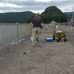 サンバカーニバル